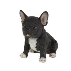 BULLDOG FRANKIE POLY 